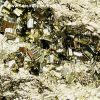 Pyrite Brute du Pérou (réf py23) – Image 5