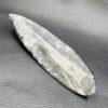 Orthocèras "Fossile Poli" du Maroc (réf ot4) – Image 3