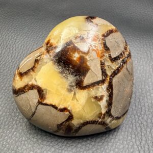 Coeur en Septaria