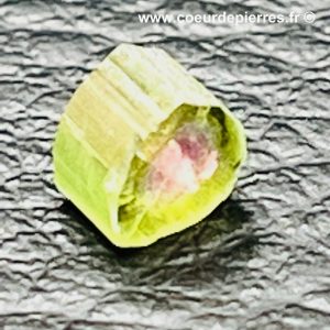 Tourmaline melon d’eau d’Afghanistan “tranche de prisme” (réf ptm5)