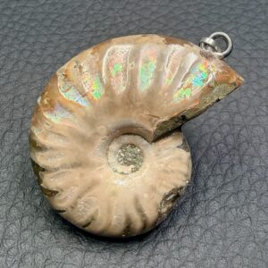 Pendentif Ammonite