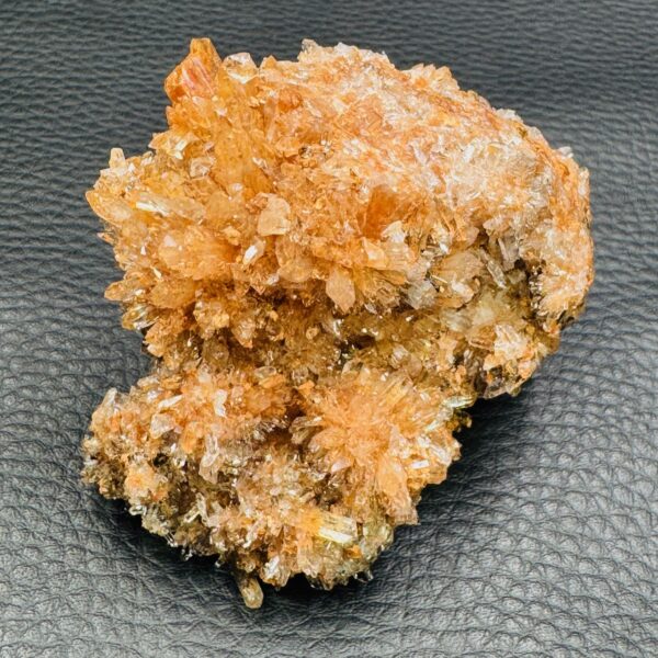 Creedite