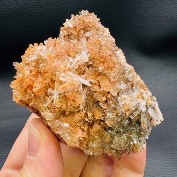 Creedite “mine Navidad” Mexique (ref cre9) – Image 5