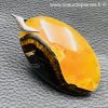 Pendentif en ammonite simbircite de Russie (réf pam15) – Image 3