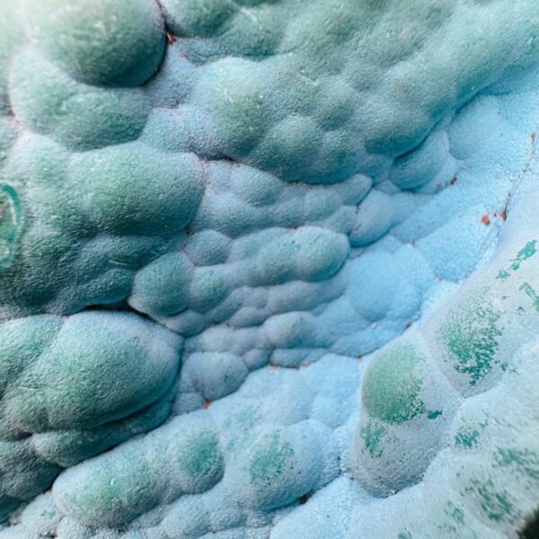 Chrysocolle sur gangue "Star Mine", Congo (réf chy11) – Image 3