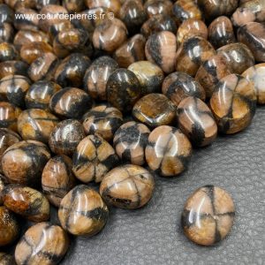 Chiastolite (ou Andalousite) d’Australie en pierres roulées “petite taille”