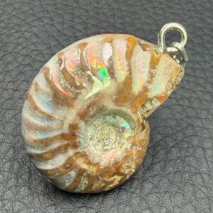 Pendentif Ammonite