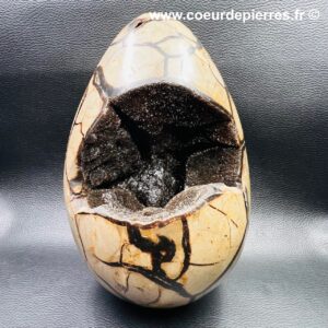 Oeuf en Septaria sauvage de Madagascar de 5,515 kg (réf oss8)