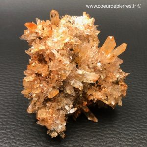 Creedite “mine Navidad” Mexique (ref cr3)