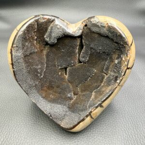 Oeuf en septaria sauvage