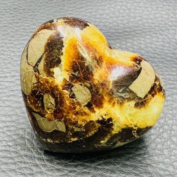 Coeur en Septaria