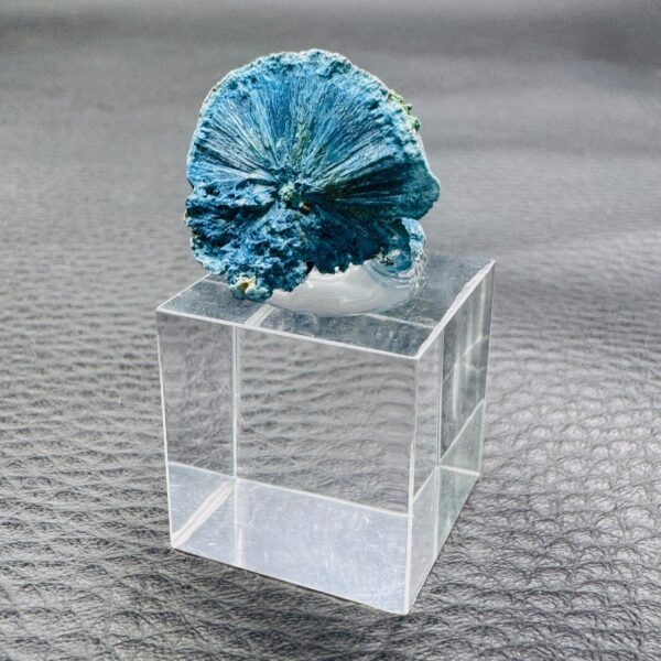 Nodule de Shattuckite du Congo (réf sk7) – Image 3