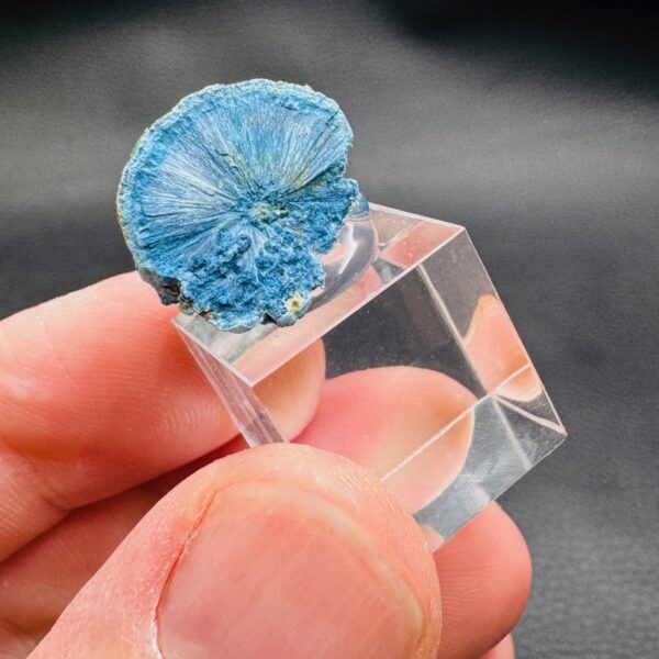 Nodule de Shattuckite du Congo (réf sk7) – Image 5
