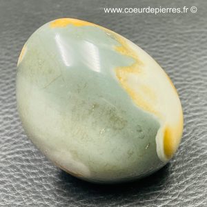 Galet en Jaspe polychrome de Madagascar (réf jp2)