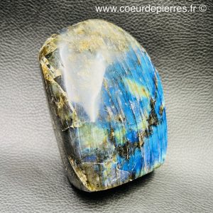 Labradorite Bleue “forme libre” de 0,843Kg (réf blp27)