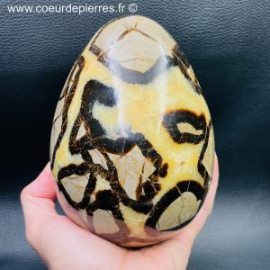 Septaria de Madagascar “oeuf de 3,171 kg” (réf ss1)