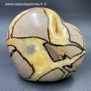 Coeur en septaria, pierre du dragon de 0,960kg (réf cs1)