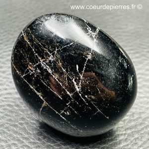 Galet en obsidienne noire “larme d’apache” du Mexique (réf ob2)