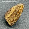 Opale Boulder d'Australie «Cabochon» (réf oba5) – Image 5