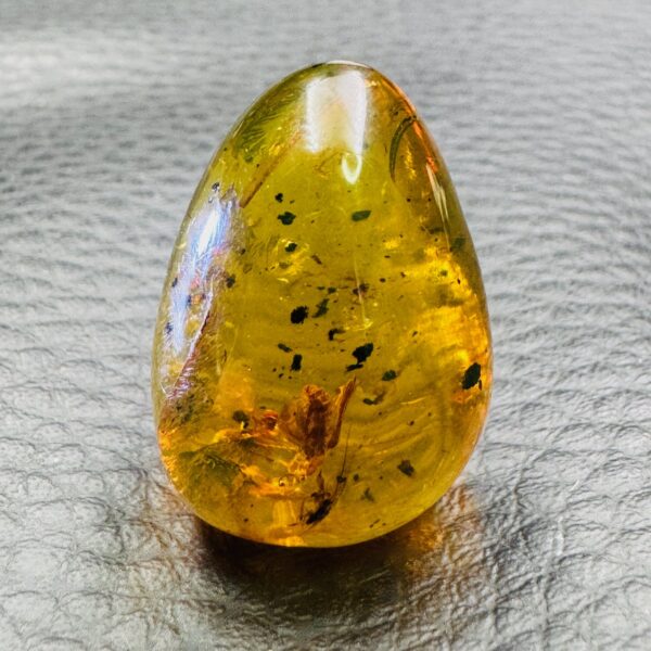 Ambre avec Inclusions d’Insectes de République Dominicaine (réf ard2) – Image 4
