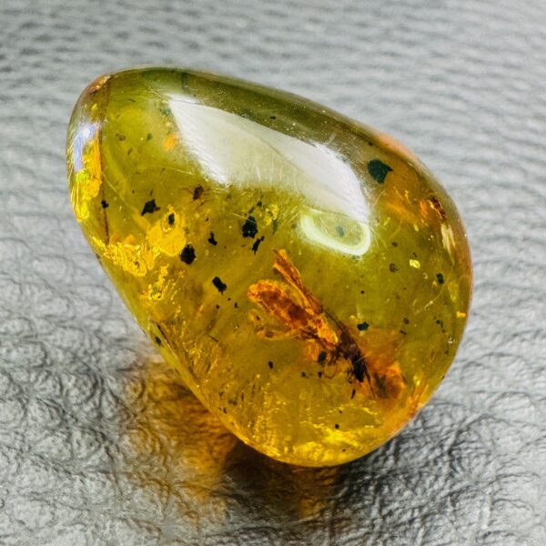 Ambre avec Inclusions d’Insectes de République Dominicaine (réf ard2) – Image 5