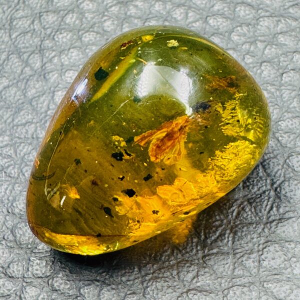 Ambre avec Inclusions d’Insectes de République Dominicaine (réf ard2) – Image 3