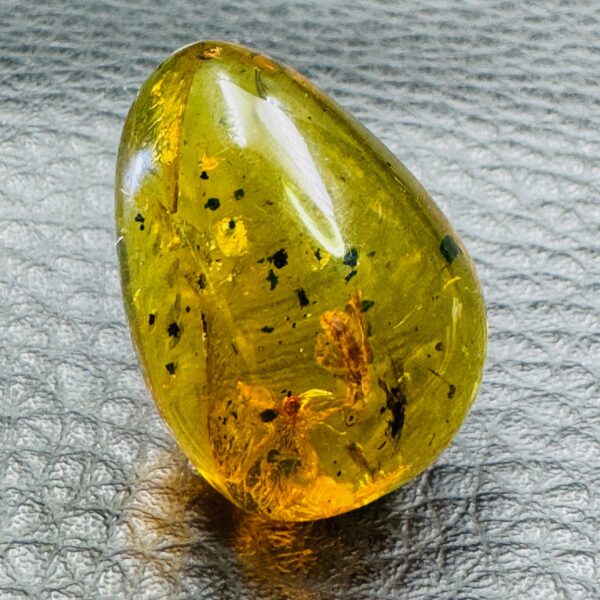 Ambre avec Inclusions d’Insectes de République Dominicaine (réf ard2) – Image 2