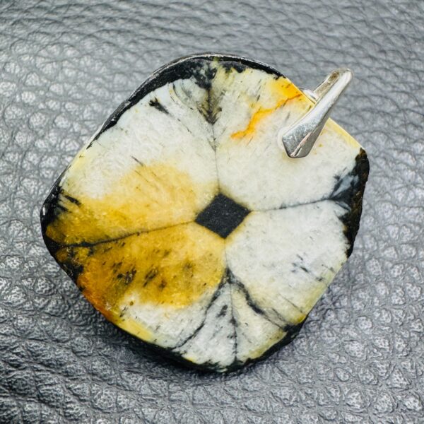 Pendentif en Chiastolite “Andalousite” d’Australie (réf chi10) – Image 3