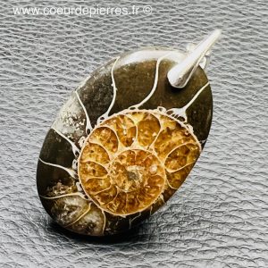 Pendentif ammonite de Madagascar (réf pam13)