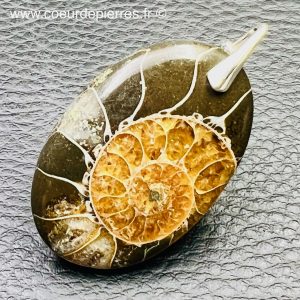 Pendentif ammonite de Madagascar (réf pam13)