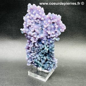 Calcédoine pourpre “grappe de raisins” d’Indonésie (réf cal1)