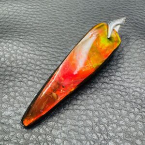 Pendentif en Ammolite