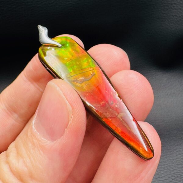 Pendentif en Ammolite du Canada 52,5 carats (réf amol9) – Image 5