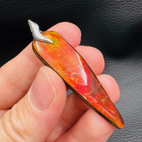 Pendentif en Ammolite du Canada 52,5 carats (réf amol9) – Image 7