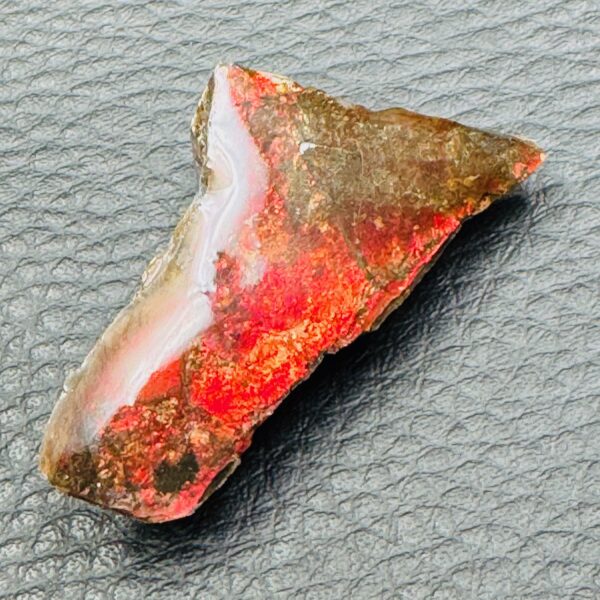 Ammolite de la rivière Sainte Marie, Alberta, Canada (réf aml4) – Image 3