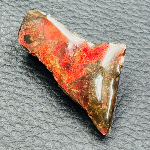 Ammolite de la rivière Sainte Marie, Alberta, Canada (réf aml4) – Image 4