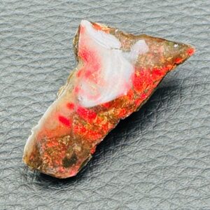 Ammolite