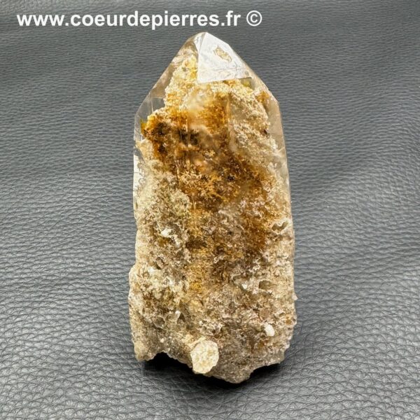 Cristal de Roche Lodolite