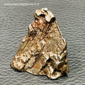 Meteorite campo del cielo d’Argentine (ref mt11)