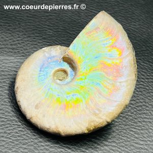 Ammonite iridescente de Madagascar (réf amd10)