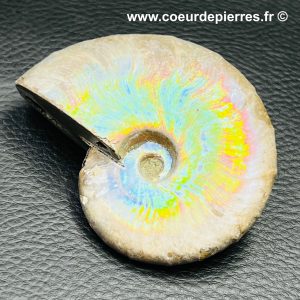 Ammonite iridescente de Madagascar (réf amd10)