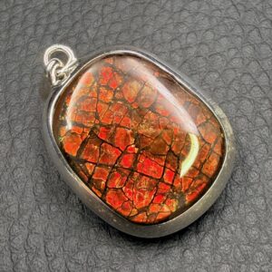 Pendentif en Ammolite