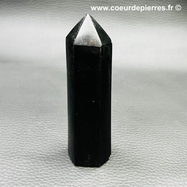 prisme en shungite