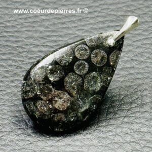 Pendentif corail fossile de Malaisie (réf pco6)