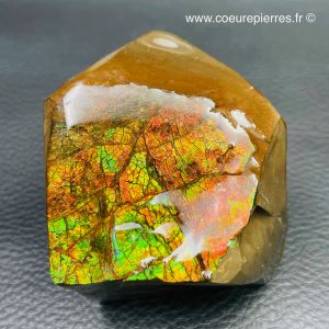 Ammolite de la rivière Sainte Marie, Alberta, Canada 1073 carats (réf aml2)