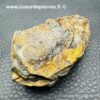 Trilobite Commun du Maroc (réf tr26) – Image 3