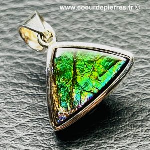 Pendentif en ammolite du Canada 19,5 carats (réf amol10)