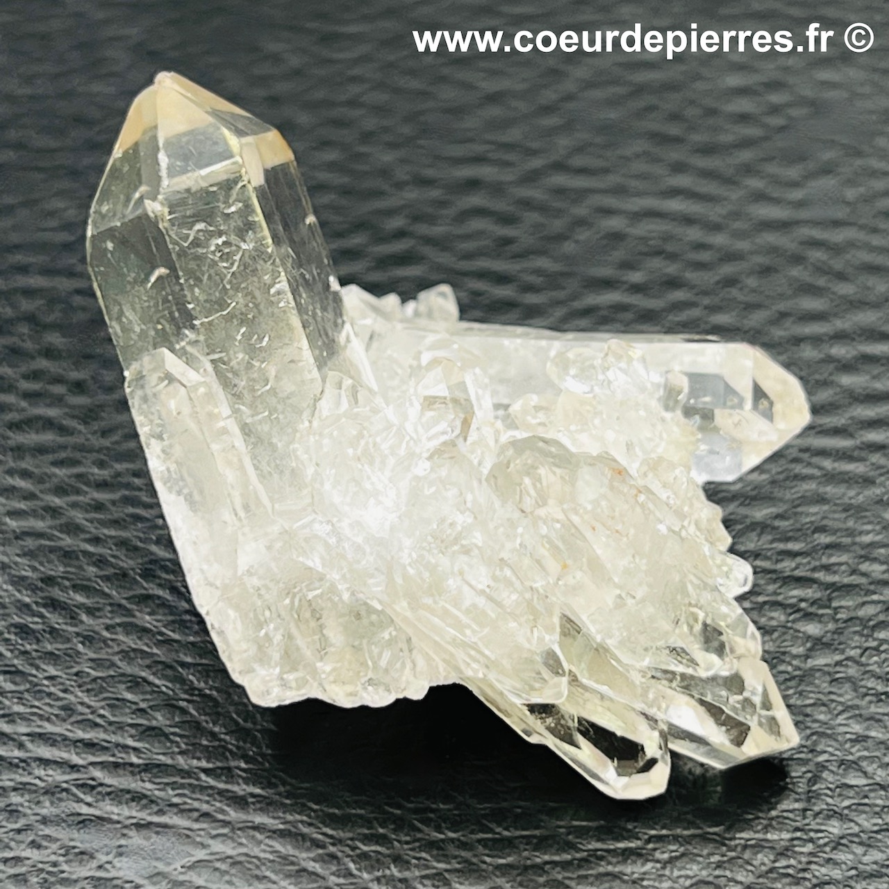 Druse de cristal de roche du Brésil (réf gq19)