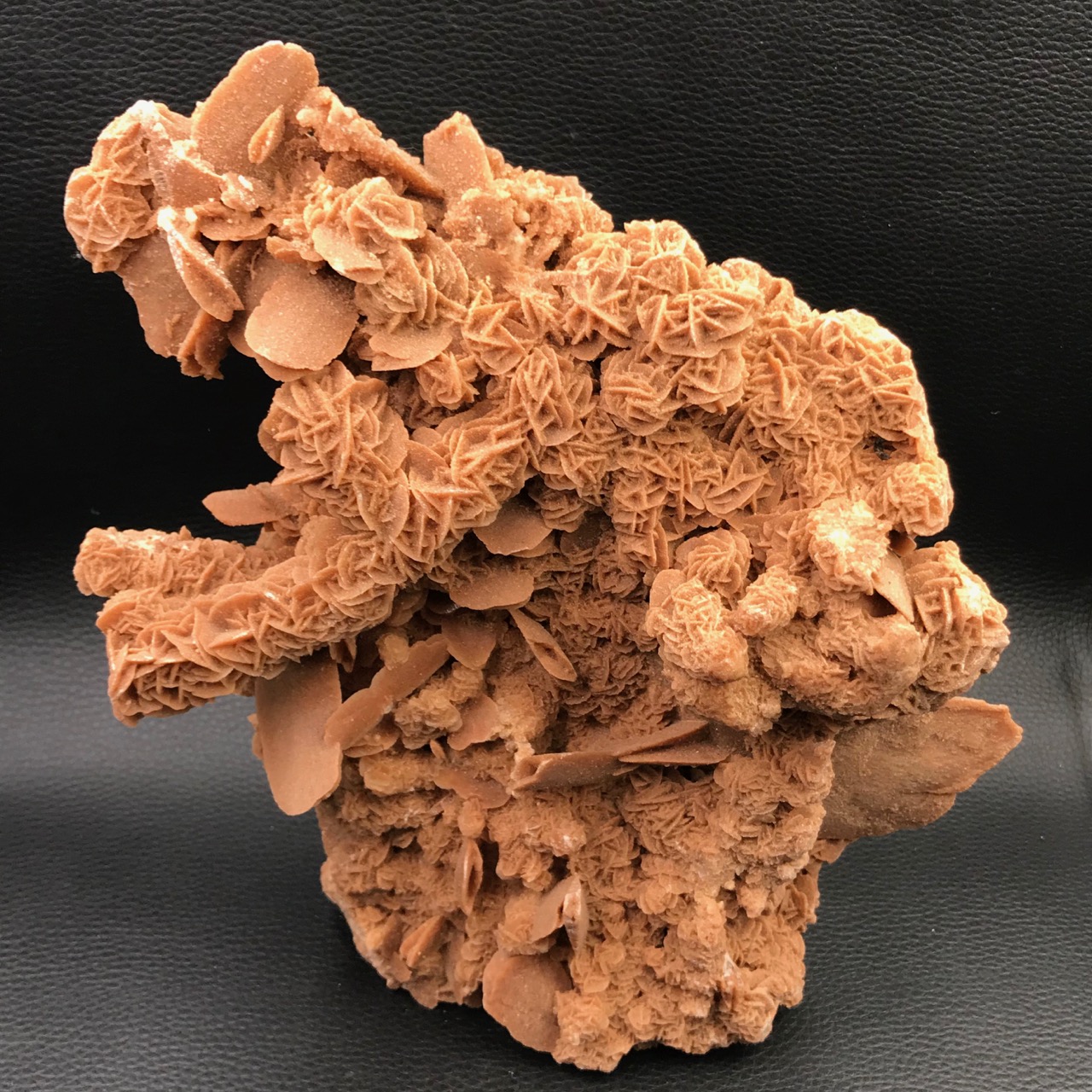Rose des sables « gypse » du sud de la Tunisie de 2,694 kg (réf rs2) Cœur de Pierres