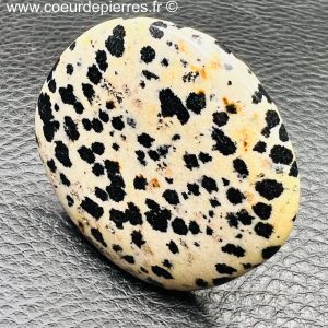 Galet en jaspe dalmatien de Madagascar (réf jd4)